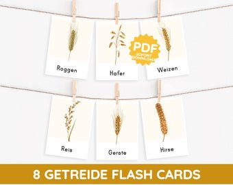 GRAIN Montessori picture cards Types of cereals Watercolor flashcards card PDF template printable child German toddler vocabulary