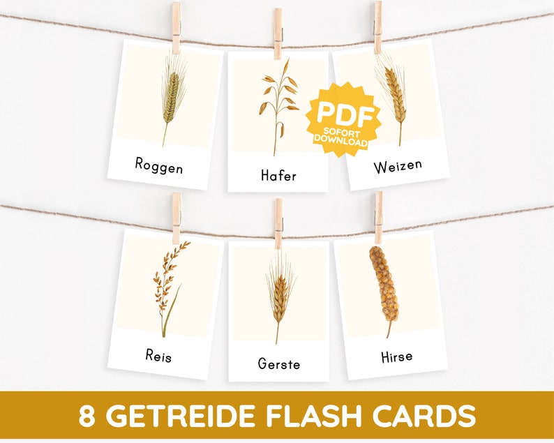 GRAIN Montessori picture cards Types of cereals Watercolor flashcards card PDF template printable child German toddler vocabulary image 1