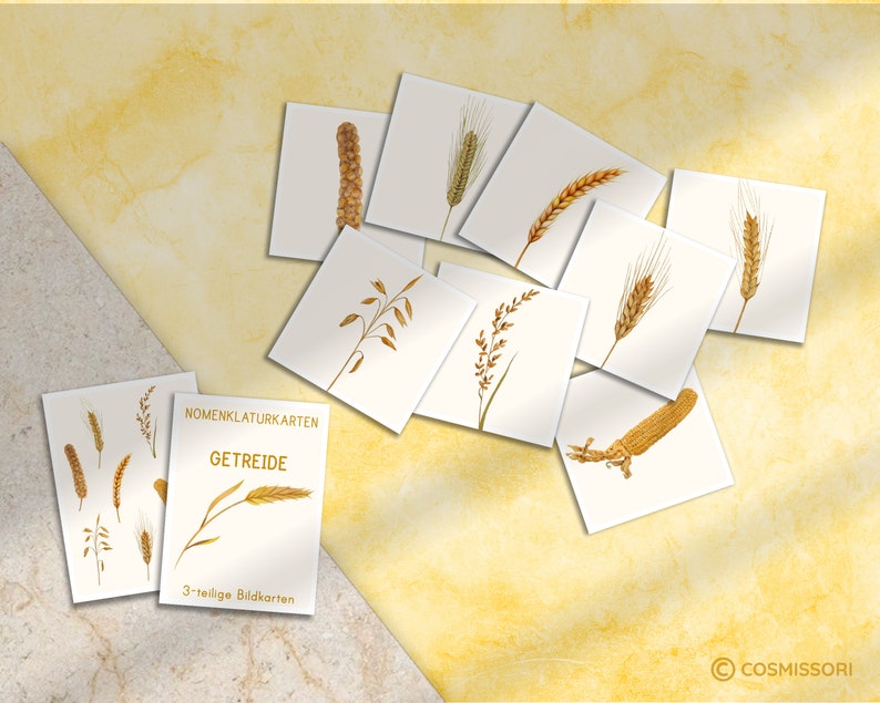 GRAIN Montessori picture cards Types of cereals Watercolor flashcards card PDF template printable child German toddler vocabulary image 3
