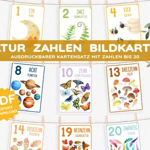 Cartões ilustrados com motivos da natureza, números, cartões de aprendizagem de aquarela da natureza Montessori, conjunto de cartões com até 20 guirlandas para decoração de sala de jogos, pôster orgânico, livro ilustrado infantil
