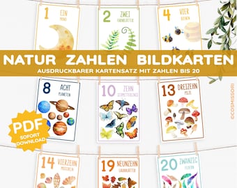 May include: A collection of educational flashcards featuring numbers 1-20 with nature-themed illustrations. Each card displays a number and a corresponding image, such as a moon, ferns, bees, planets, butterflies, mushrooms, shells, leaves, and feathers. The cards are strung on a clothesline.