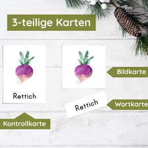 May include: Three cards for a learning game. The first card shows a watercolor illustration of a purple turnip. The second card has the word "Rettich" written on it. The third card has the words "Kontrollkarte" written on it.
