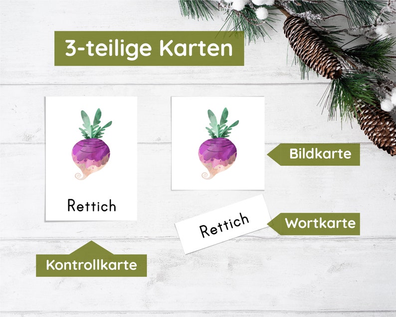 May include: Three cards for a learning game. The first card shows a watercolor illustration of a purple turnip. The second card has the word "Rettich" written on it. The third card has the words "Kontrollkarte" written on it.
