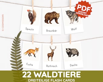 WALDTIERE Montessori Aquarell Bildkarten Lernkarten Karten PDF Vorlage