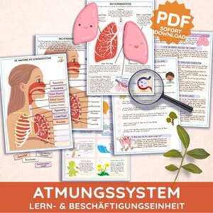 May include: A collection of educational posters illustrating the human respiratory system. The posters include diagrams of the lungs and anatomical structures, with text in German. The title "ATMUNGSSYSTEM" is visible at the bottom.