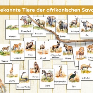 May include: A collection of 20 watercolor animal flashcards from the African savanna, including a giraffe, zebra, and lion. The cards are arranged on a light wood background with a decorative branch. The text at the top reads "20 bekannte Tiere der afrikanischen Savanne."