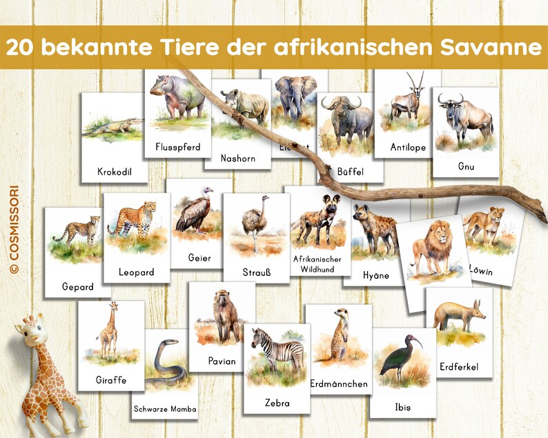 May include: A collection of 20 watercolor animal flashcards from the African savanna, including a giraffe, zebra, and lion. The cards are arranged on a light wood background with a decorative branch. The text at the top reads "20 bekannte Tiere der afrikanischen Savanne."