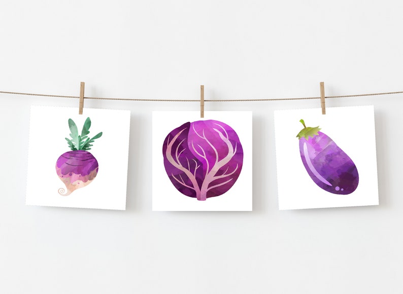 May include: Three watercolor illustrations of purple vegetables: a turnip, a red cabbage, and an eggplant.
