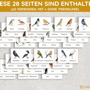 K&ouml;nnte beinhalten: Ein Satz von 28 bunten Lernkarten mit Illustrationen verschiedener Vogelarten. Jede Karte enth&auml;lt den Namen des Vogels in deutscher Sprache. Die Karten sind f&uuml;r den Einsatz im Bildungsbereich konzipiert.