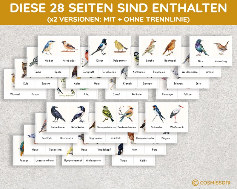 K&ouml;nnte beinhalten: Ein Satz von 28 bunten Lernkarten mit Illustrationen verschiedener Vogelarten. Jede Karte enth&auml;lt den Namen des Vogels in deutscher Sprache. Die Karten sind f&uuml;r den Einsatz im Bildungsbereich konzipiert.