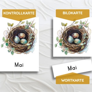 May include: A set of Montessori learning cards featuring a watercolor illustration of a bird's nest with three blue eggs. The cards include a control card, a picture card, and a word card with the word "Mai" on it.
