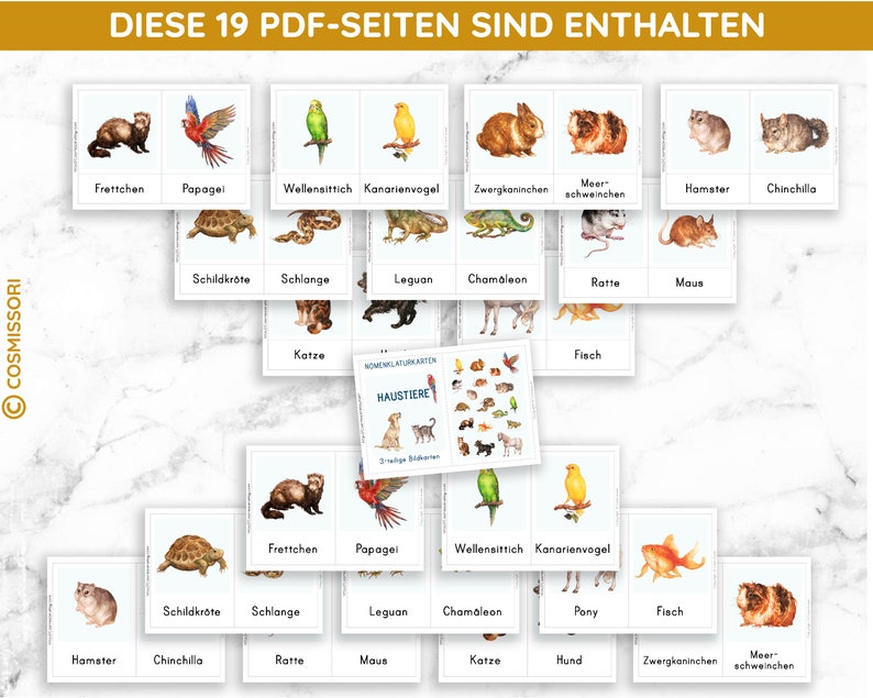 PETS Montessori Picture Cards Watercolor Learning Cards Small Animal Rodent Card PDF Template Printable Child German Toddler Vocabulary Expansion image 6
