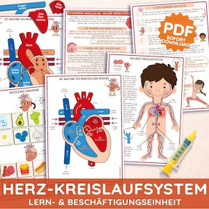 Puede incluir: Pósteres educativos sobre el corazón humano y el sistema circulatorio. Los pósteres presentan diagramas del corazón, partes anatómicas etiquetadas e información sobre alimentación saludable. El texto "PDF SOFORT DOWNLOAD" es visible.