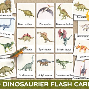 50 Cartões de Imagens Montessori de Dinossauros de A a Z Cartões de Aprendizagem Flash Cards Flash Cards Download Imprimir Alemão Faça Você Mesmo Pré-histórico Pré-histórico Criança