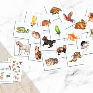 PETS Montessori Picture Cards Watercolor Learning Cards Small Animal Rodent Card PDF Template Printable Child German Toddler Vocabulary Expansion image 3
