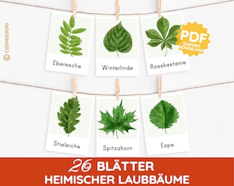LEAVES Montessori Picture Cards Native Trees Deciduous Trees Forest Watercolor Learning Cards PDF Template Print Child Toddler Kindergarten Daycare File