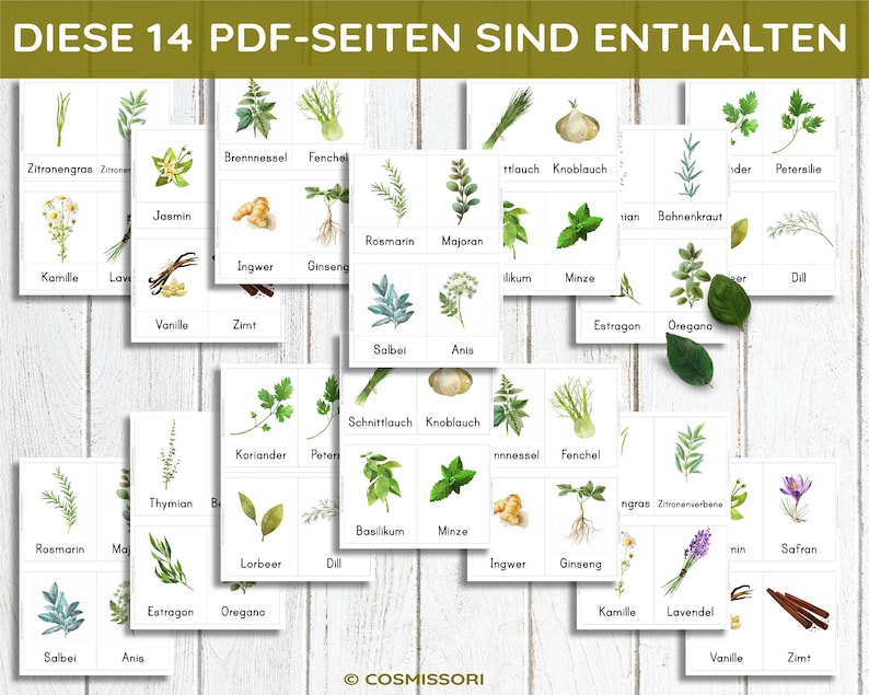 Kitchen Herbs & Medicinal Herbs Montessori Flash Cards Picture Cards PDF Card Set for Printing Children's Learning Cards Herbs Herb Pharmacy German image 6