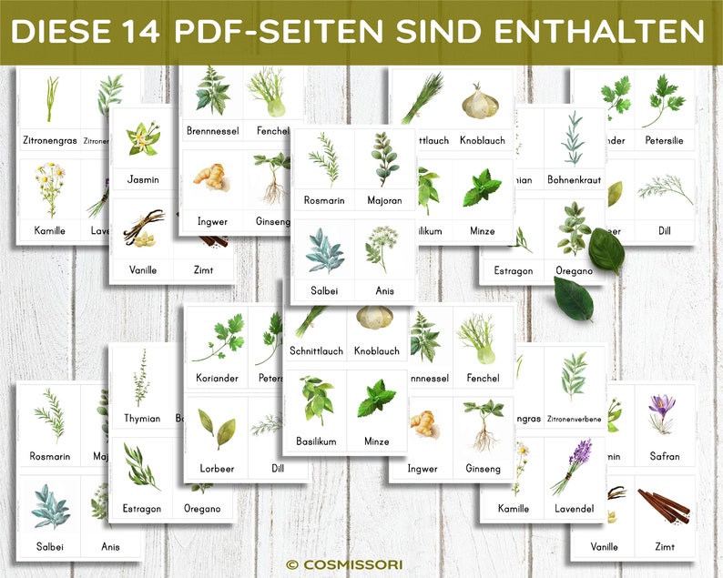 May include: A set of 14 printable PDF pages featuring illustrations of various herbs and spices, including rosemary, basil, thyme, lavender, and more. Each page includes the German name for the herb or spice.