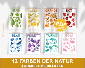 Color cards 12 colors of nature watercolor pictures cards poster Montessori decoration learning cards child picture book decoration daycare children's room PDF template