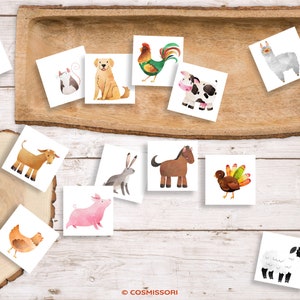 Farm Animals Flash Cards Montessori Cards Printable Card Set PDF ...