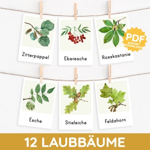 Bäume: Blatt & Frucht Montessori Aquarell Bildkarte Lernkarte Karte PDF Druckvorlage Kind deutsch Kleinkind Wortschatzerweiterung Wortschatz