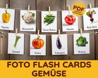 Lebensechte Gemüse Montessori Foto Nomenklaturkarten Flash Cards Blitzkarten Bildkarte Wortkarte Kontrollkarte PDF Lernkarten deutsch Kind