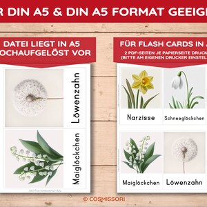Blumen 26 Montessori Blitzkarten Bildkarten Nomenklaturkarten intuitiv selbstständig lernen Kind Lernkarten heimische Blüten PDF Kartensatz Bild 4