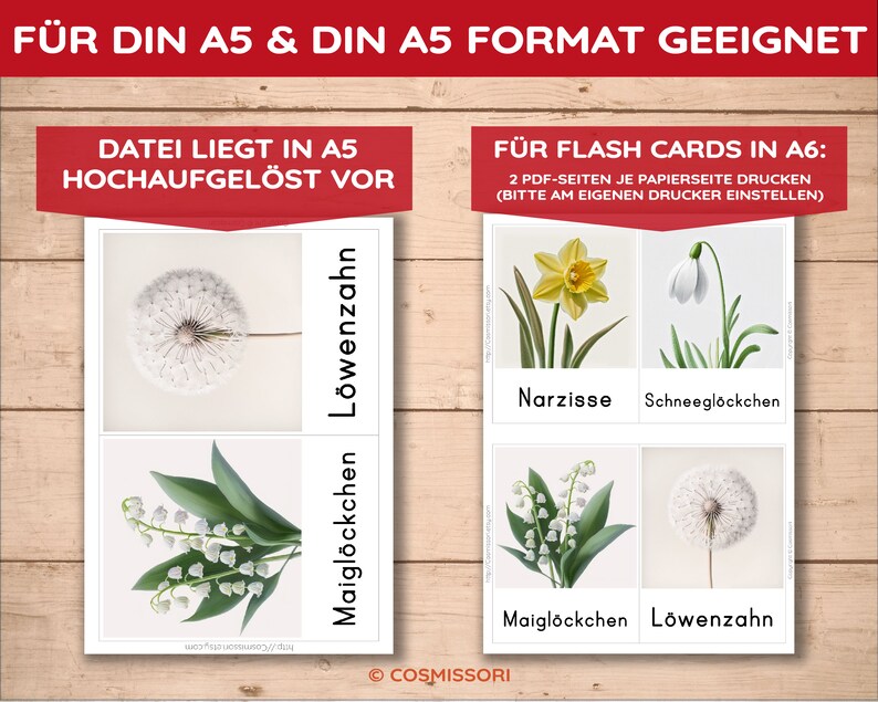 Blumen 26 Montessori Blitzkarten Bildkarten Nomenklaturkarten intuitiv selbstständig lernen Kind Lernkarten heimische Blüten PDF Kartensatz Bild 4