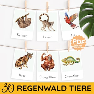 Animais da selva, floresta tropical, trópicos, cartão de aquarela Montessori, cartão de aprendizagem em PDF para impressão, expansão de vocabulário para crianças em alemão