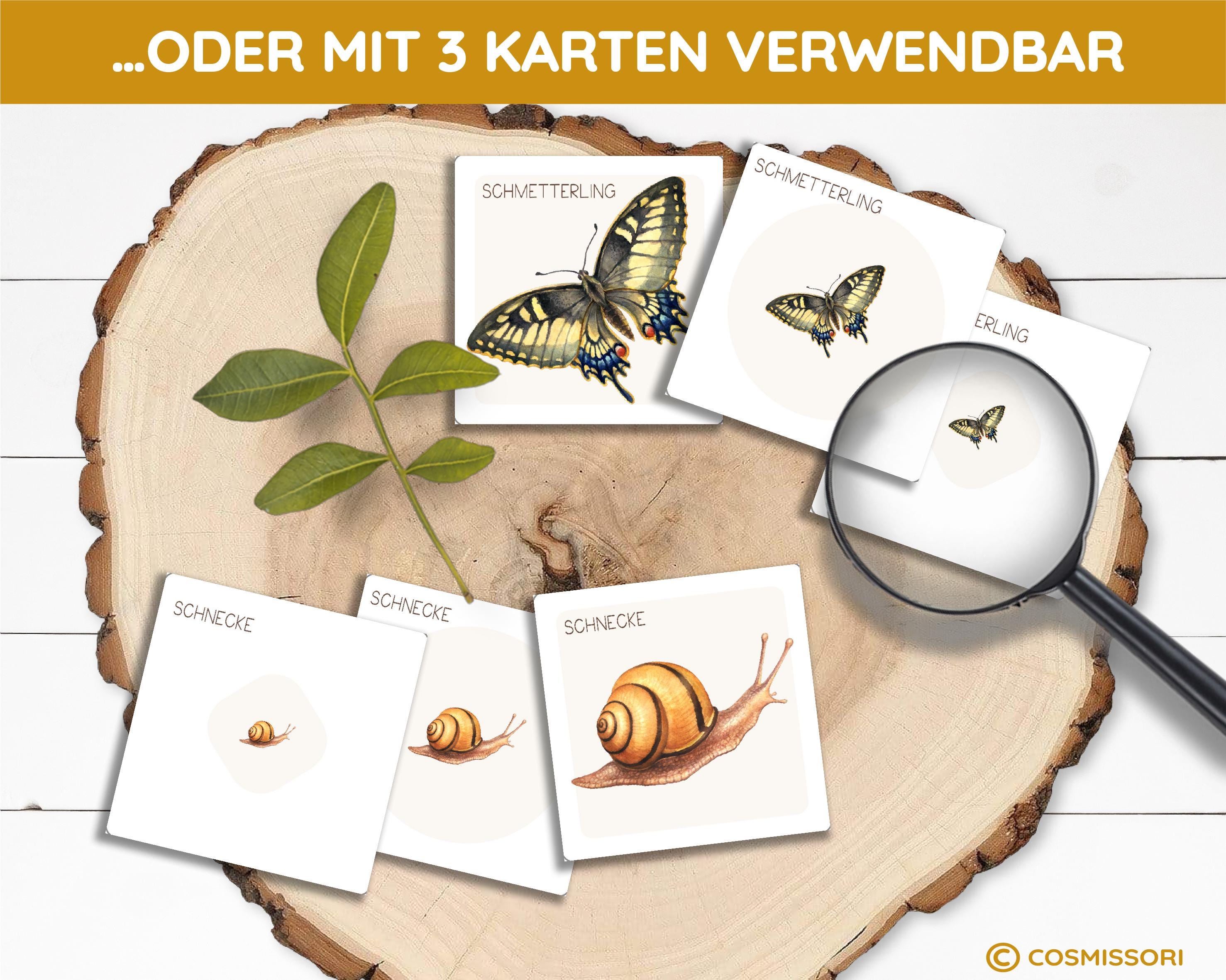 Insects Picture Cards in 3 Sizes Find Montessori Activity PDF Game ...