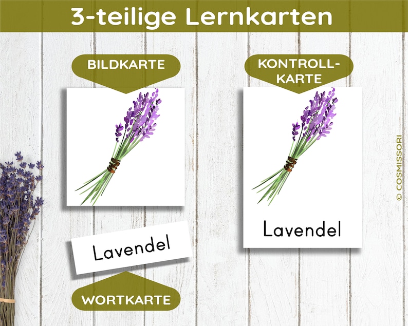May include: Three-part learning cards for teaching the word "lavender" in German. The cards feature a picture of a bunch of lavender flowers, the word "Kontroll-Karte" (control card), and the word "Lavende" (lavender).