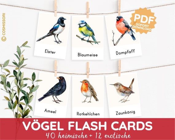 VÖGEL Montessori Bildkarten heimische Vogelkunde Ornithologie Aquarell Lernkarten PDF Vorlage drucken Kind Kleinkind Kindergarten Kita Datei