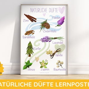 DÜFTE der Natur Montessori Wandkunst Lernposter Sinne Riechen Infografik Kinderzimmer Kita Kind Zimmerdeko deutsch Download digitaldruck DIY