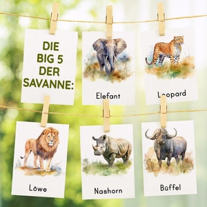 May include: A display of six cards clipped to a string with wooden clothespins. The cards feature watercolor illustrations of African animals, including an elephant, leopard, lion, rhino, and buffalo. Text on the cards reads "DIE BIG 5 DER SAVANNE:" and animal names.