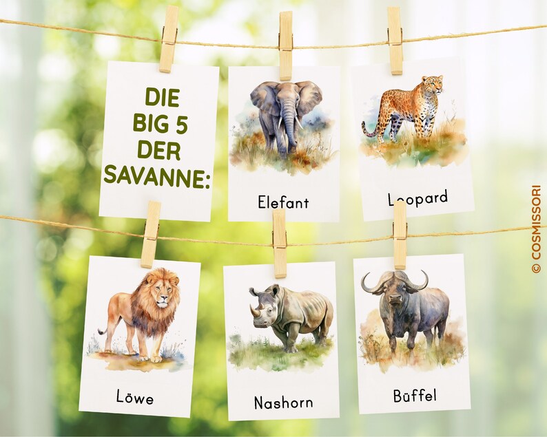 May include: A display of six cards clipped to a string with wooden clothespins. The cards feature watercolor illustrations of African animals, including an elephant, leopard, lion, rhino, and buffalo. Text on the cards reads "DIE BIG 5 DER SAVANNE:" and animal names.