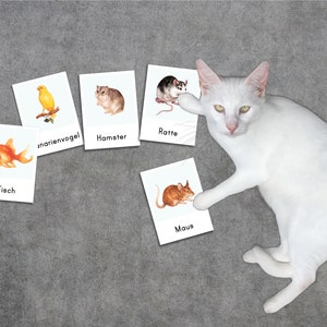 PETS Montessori Picture Cards Watercolor Learning Cards Small Animal Rodent Card PDF Template Printable Child German Toddler Vocabulary Expansion image 4