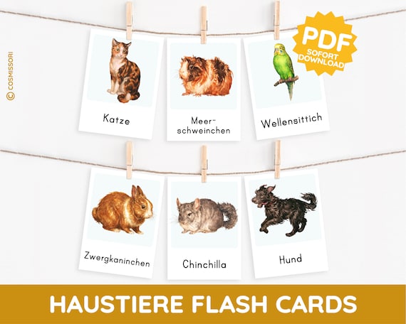 HAUSTIERE Montessori Bildkarten Aquarell Lernkarten Kleintier Nager Karte PDF Vorlage druckbar Kind deutsch Kleinkind Wortschatzerweiterung