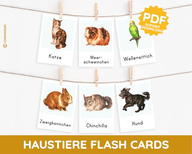 PETS Montessori Picture Cards Watercolor Learning Cards Small Animal Rodent Card PDF Template Printable Child German Toddler Vocabulary Expansion image 1