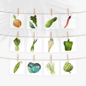 May include: Twelve watercolor illustrations of various vegetables, including a green pepper, onion, zucchini, artichoke, pea pod, and more, hanging on a clothesline with clothespins.