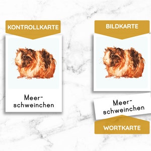 PETS Montessori Picture Cards Watercolor Learning Cards Small Animal Rodent Card PDF Template Printable Child German Toddler Vocabulary Expansion image 2