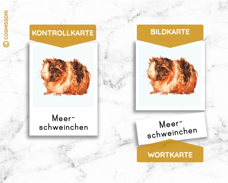 PETS Montessori Picture Cards Watercolor Learning Cards Small Animal Rodent Card PDF Template Printable Child German Toddler Vocabulary Expansion image 2