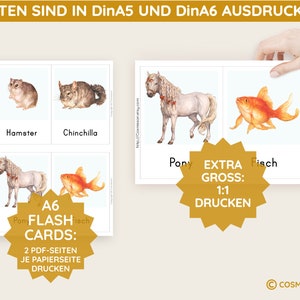 PETS Montessori Picture Cards Watercolor Learning Cards Small Animal Rodent Card PDF Template Printable Child German Toddler Vocabulary Expansion image 5