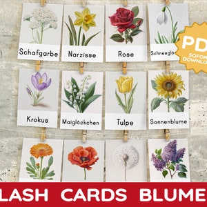 Flowers 26 Montessori Flash Cards Picture Cards Nomenclature Cards Intuitive Independent Learning Child Flash Cards Local Flowers PDF Card Set