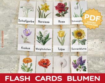 Fiori 26 Flash Card Montessori Carte illustrate Carte Nomenclatura Intuitivo Apprendimento Indipendente Flash Card per bambini Fiori locali Set di carte PDF