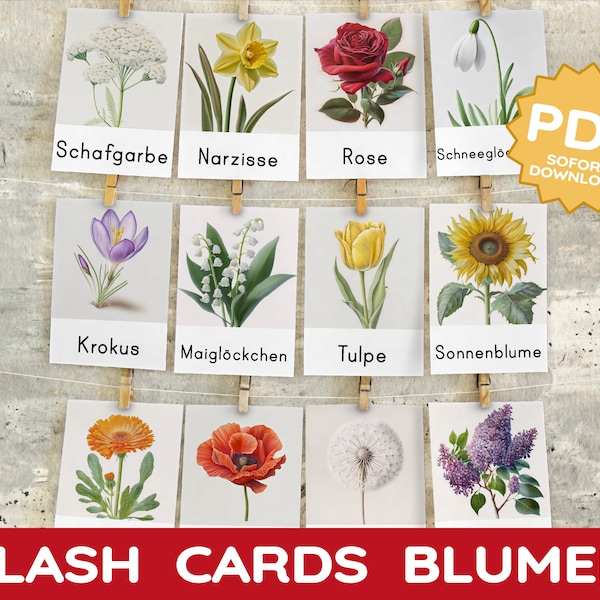 Blumen 26 Montessori Blitzkarten Bildkarten Nomenklaturkarten intuitiv selbstständig lernen Kind Lernkarten heimische Blüten PDF Kartensatz