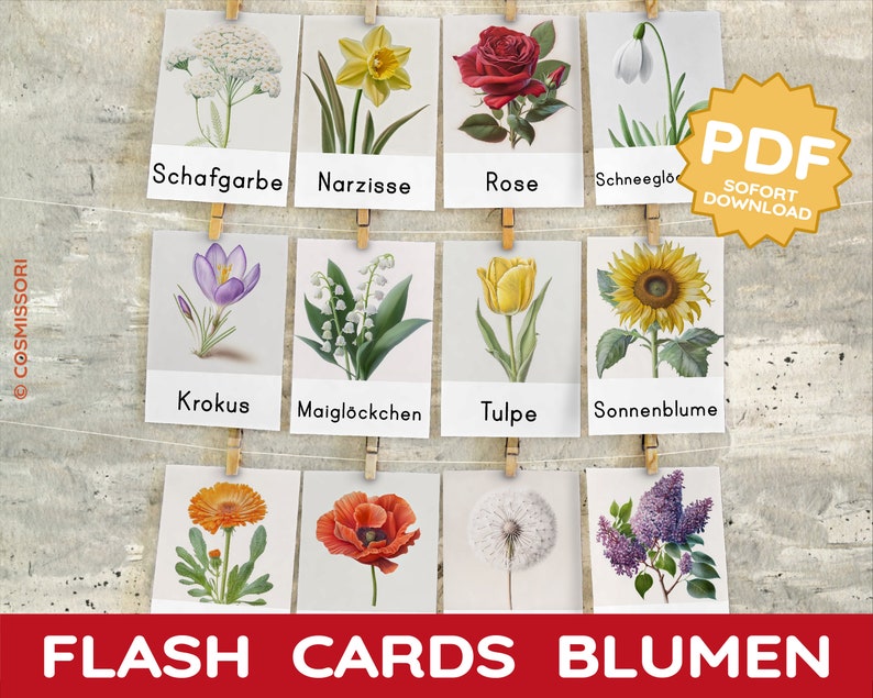 K&ouml;nnte beinhalten: Ein Satz von 12 druckbaren Lernkarten mit Illustrationen verschiedener Blumen und ihren deutschen Namen. Die Blumen umfassen eine Sonnenblume, Rose, Tulpe, Krokus, Schneegl&ouml;ckchen, Narzisse, Mohn, L&ouml;wenzahn, Flieder, Maigl&ouml;ckchen, Gerbera und Schafgarbe.