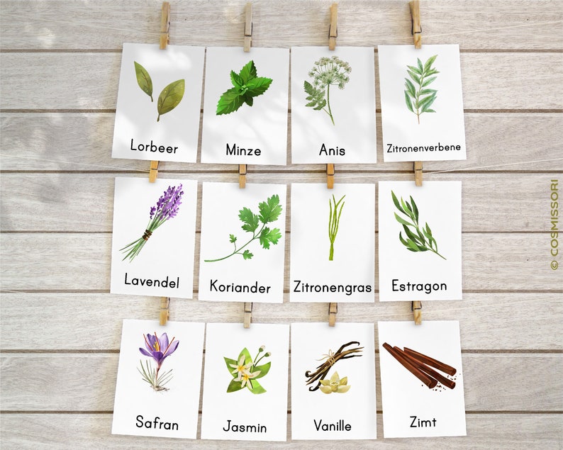 Kitchen Herbs & Medicinal Herbs Montessori Flash Cards Picture Cards PDF Card Set for Printing Children's Learning Cards Herbs Herb Pharmacy German image 7