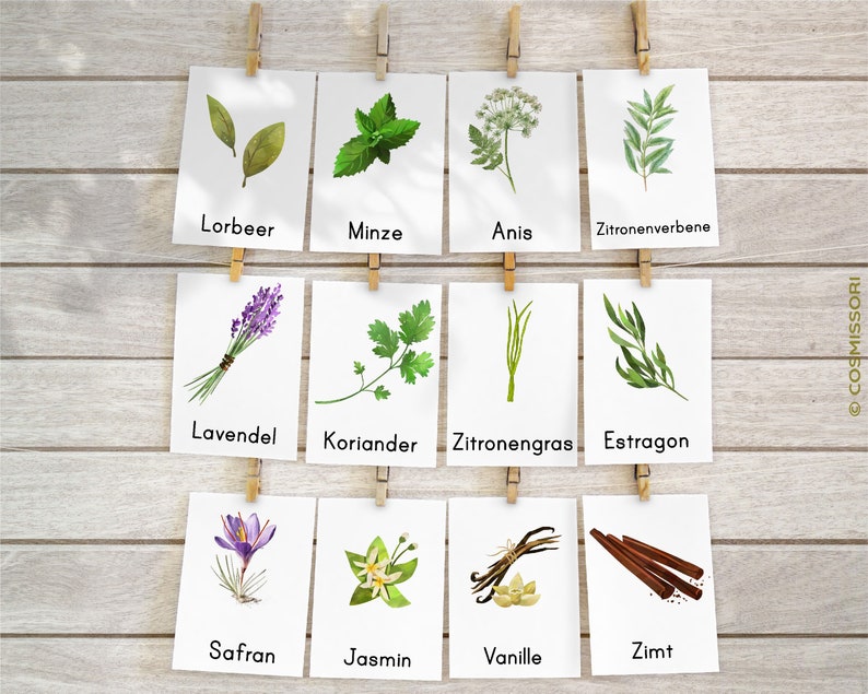 May include: Twelve white cards with illustrations of various herbs and spices, each with the name of the herb or spice written below in black text. The cards are hung on a wooden wall with clothes pegs. The herbs and spices include: Lorbeer, Minze, Anis, Zitronenverbene, Lavendel, Koriander, Zitronengras, Estragon, Safran, Jasmin, Vanille, and Zimt.