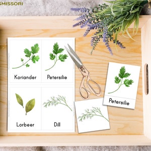 Kitchen Herbs & Medicinal Herbs Montessori Flash Cards Picture Cards PDF Card Set for Printing Children's Learning Cards Herbs Herb Pharmacy German image 4