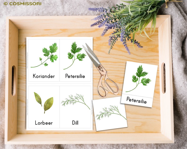 Kitchen Herbs & Medicinal Herbs Montessori Flash Cards Picture Cards PDF Card Set for Printing Children's Learning Cards Herbs Herb Pharmacy German image 4